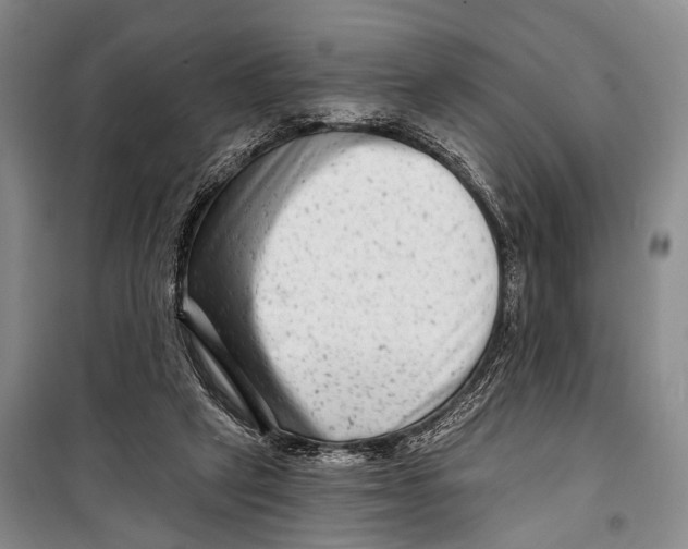 X0000098210257200805151300