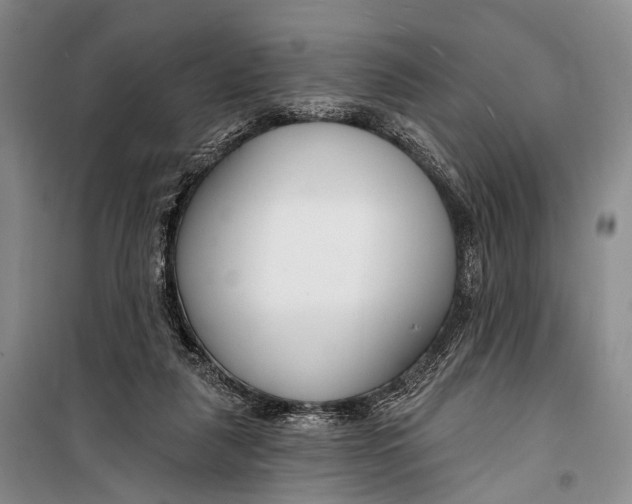 X0000098210259200805151300