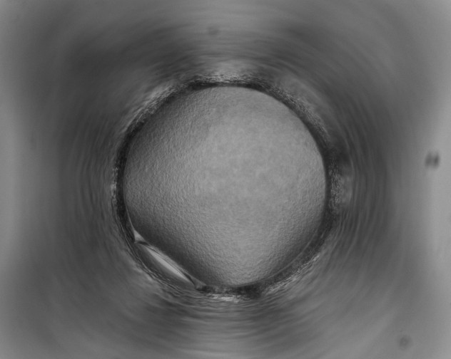 X0000098210260200805151300
