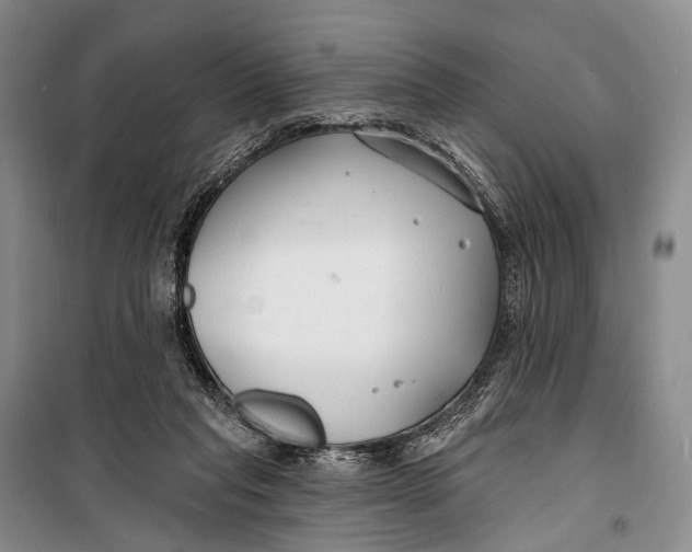 X0000098210261200805151300