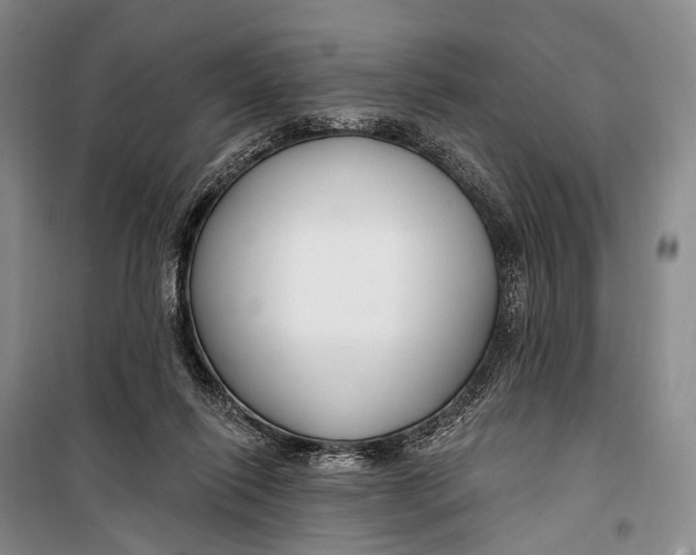 X0000098210262200805151300