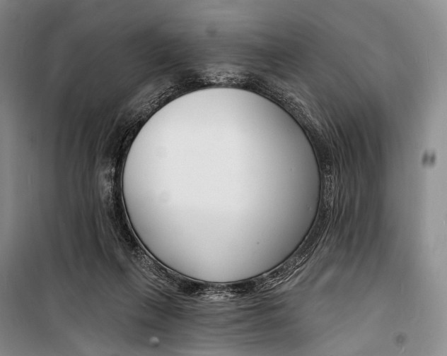 X0000098210263200805151300