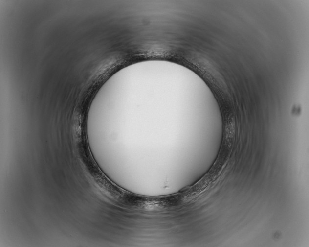 X0000098210264200805151300