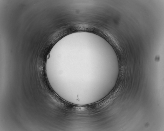 X0000098210265200805151300