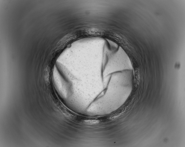 X0000098210266200805151300