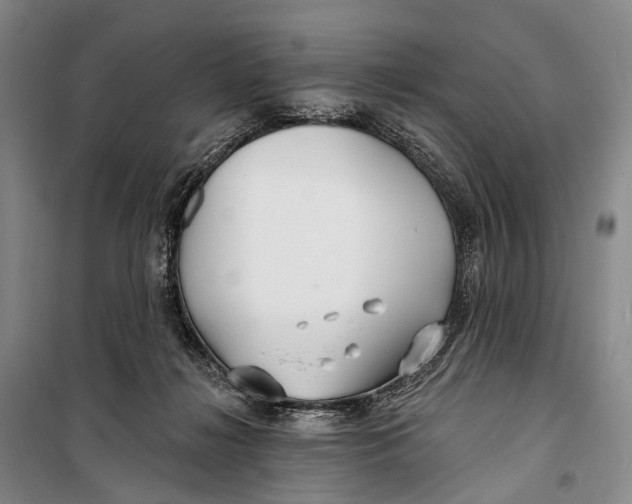 X0000098210268200805151300
