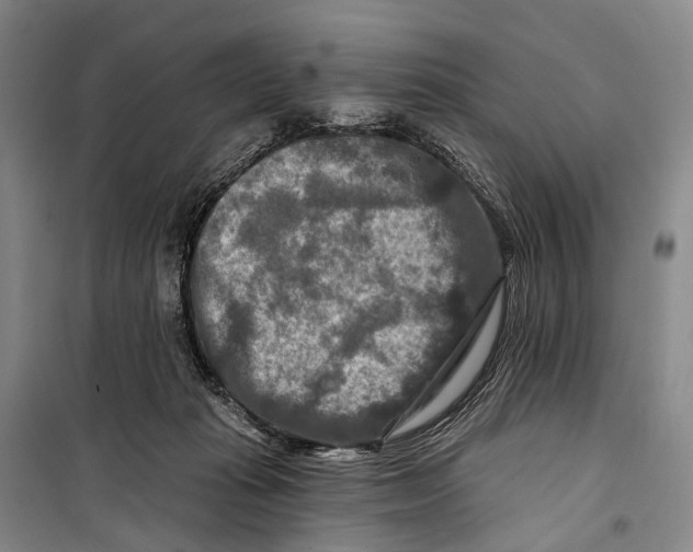 X0000098210269200805151300