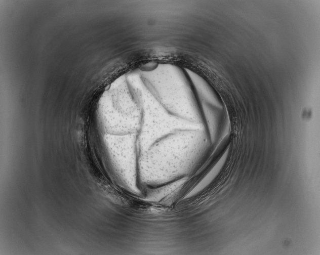 X0000098210270200805151300