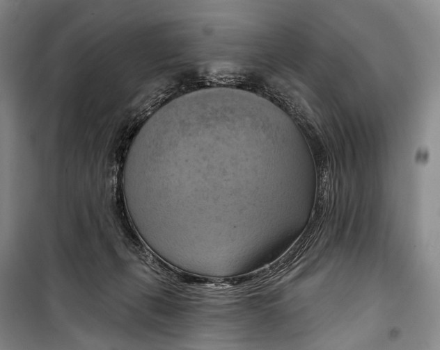 X0000098210271200805151300