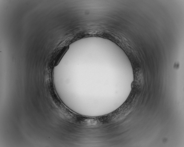 X0000098210272200805151300