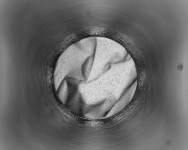 X0000098210273200805151300