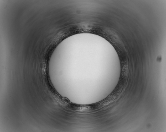 X0000098210274200805151300