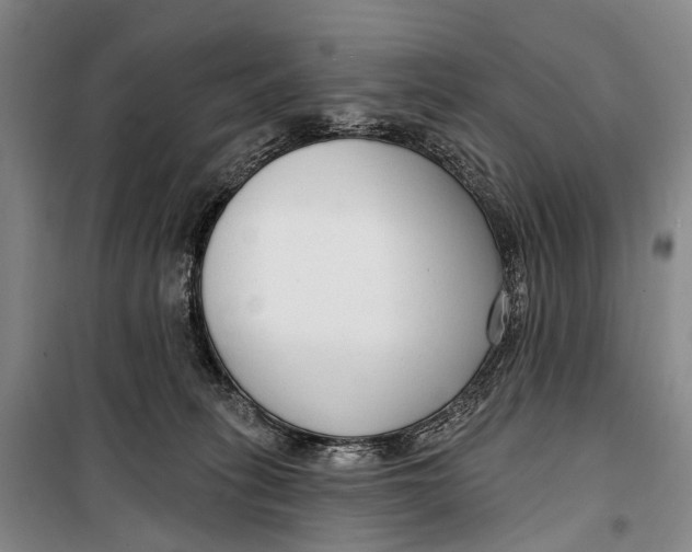 X0000098210275200805151300