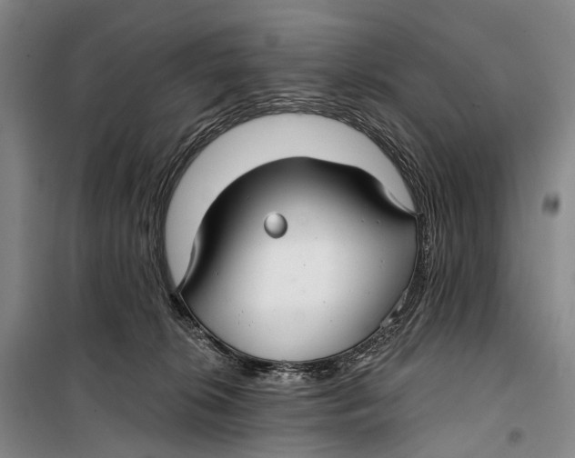 X0000098210276200805151300