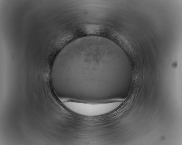 X0000098210277200805151300