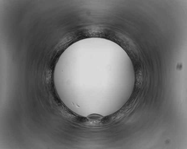 X0000098210278200805151300