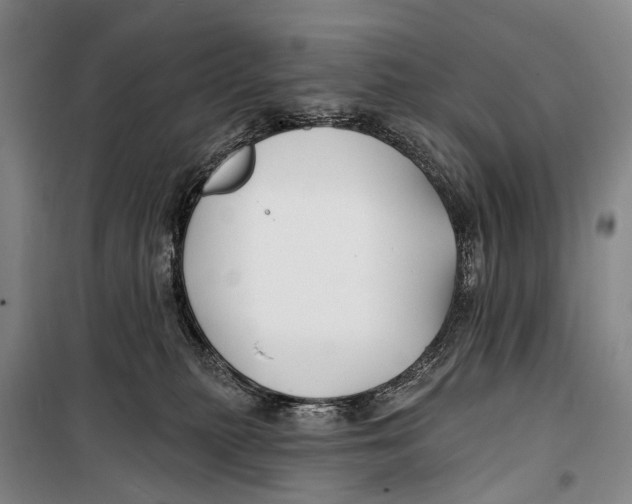 X0000098210279200805151300