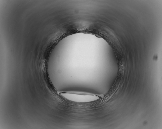 X0000098210280200805151300