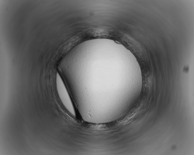 X0000098210281200805151300