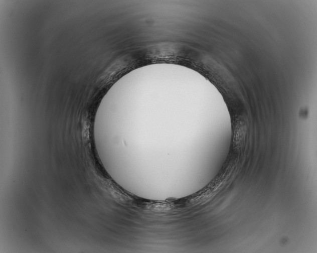 X0000098210282200805151300
