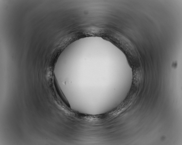 X0000098210284200805151300
