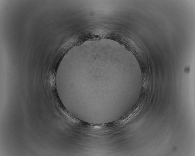 X0000098210285200805151300