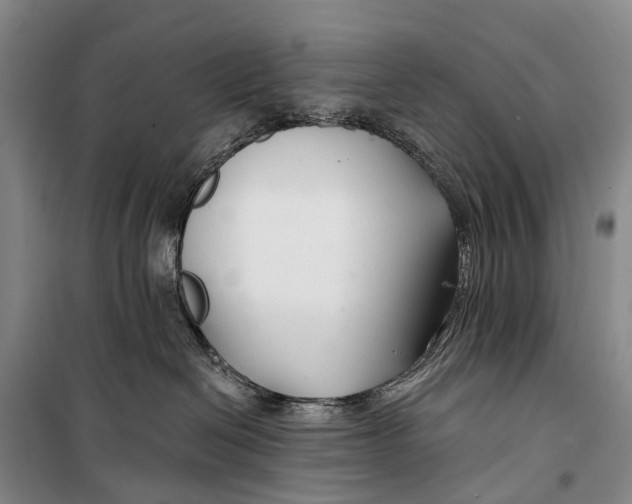 X0000098210286200805151300