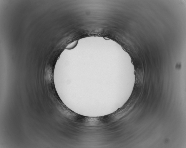 X0000098210287200805151300