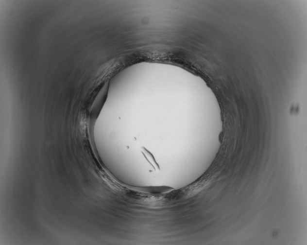 X0000098210288200805151300