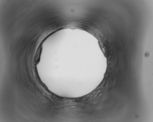 X0000098210289200805151300