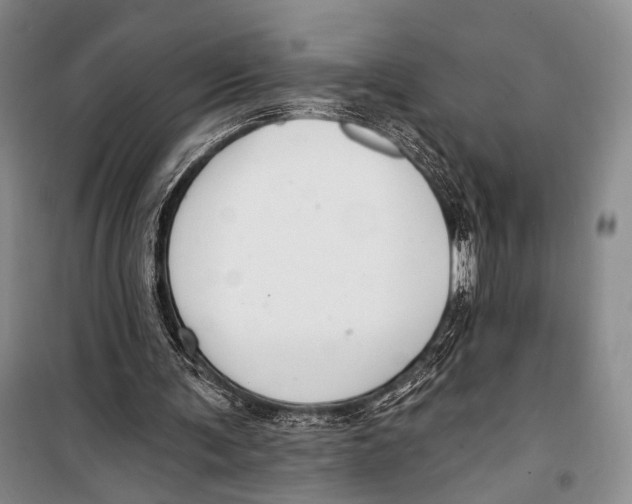 X0000098210291200805151300