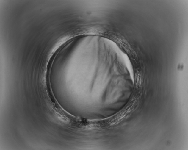 X0000098210292200805151300