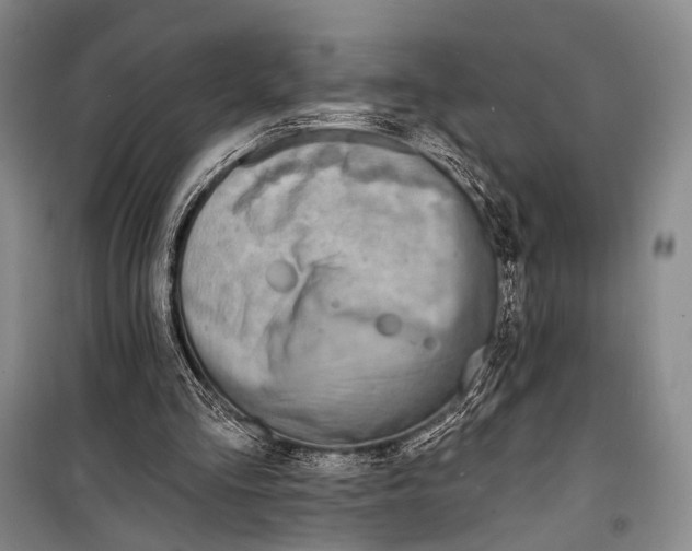 X0000098210293200805151300