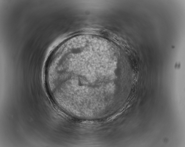 X0000098210294200805151300