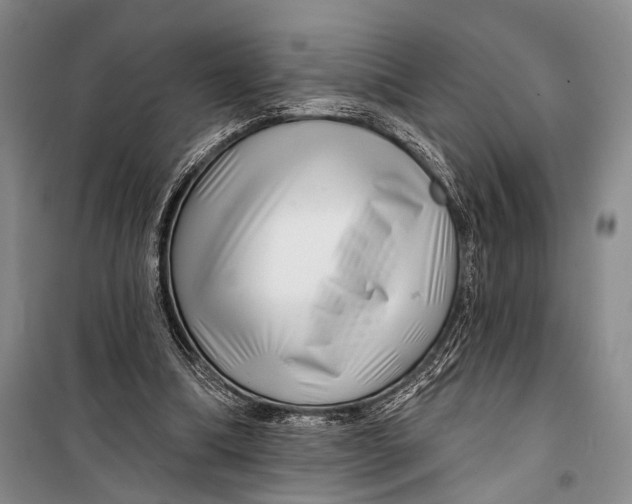 X0000098210298200805151259