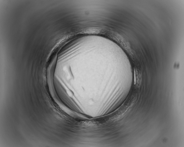 X0000098210300200805151259