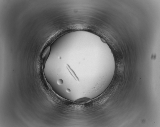 X0000098210304200805151259