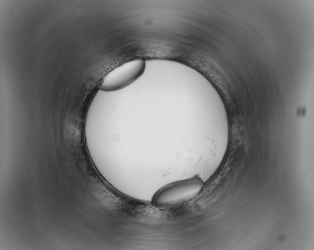 X0000098210305200805151259