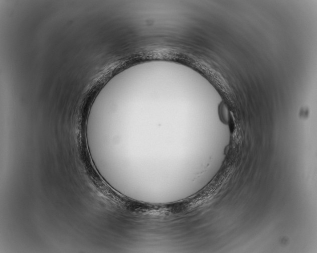 X0000098210306200805151259