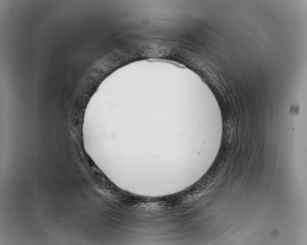 X0000098210307200805151259