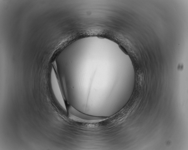 X0000098210308200805151259