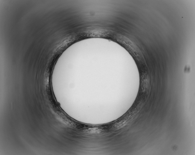 X0000098210310200805151259