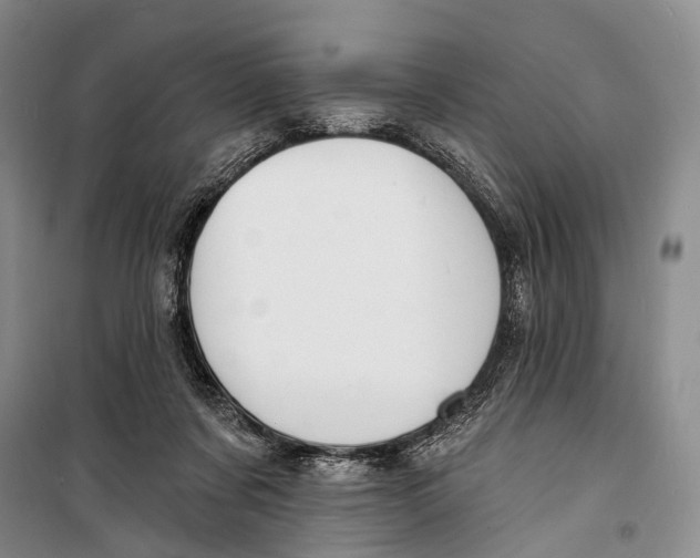 X0000098210311200805151259