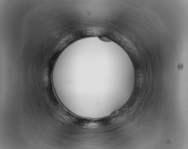 X0000098210312200805151259