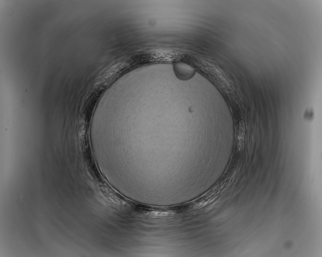 X0000098210314200805151259