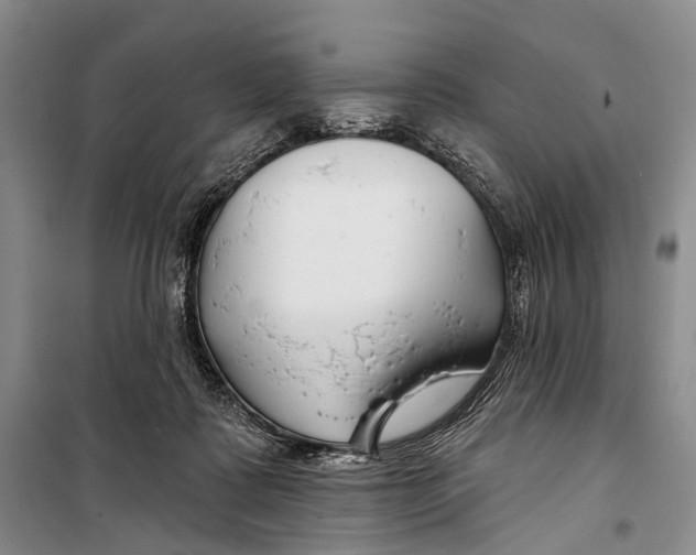 X0000098210315200805151259