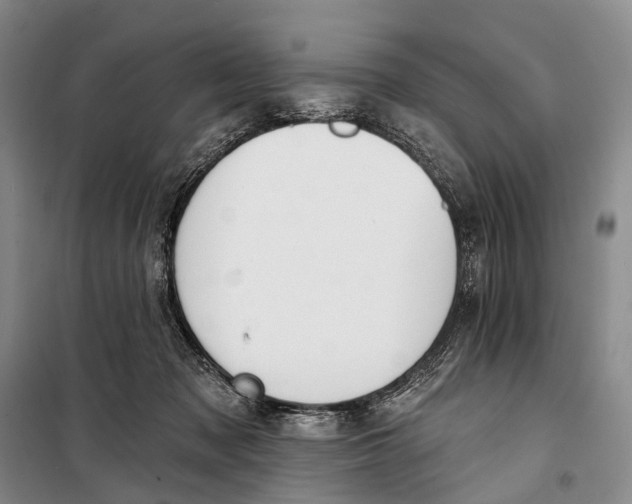 X0000098210317200805151259