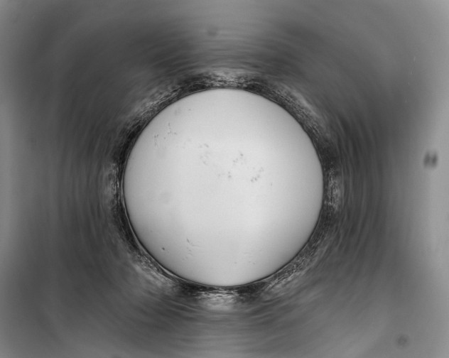 X0000098210318200805151259