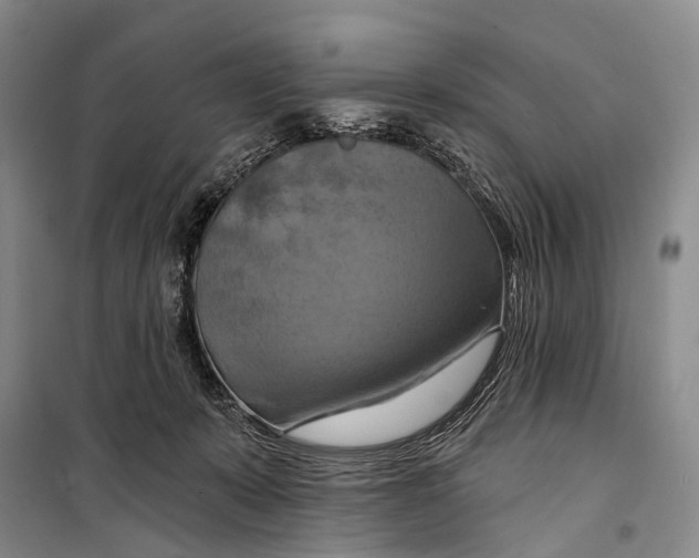 X0000098210319200805151259
