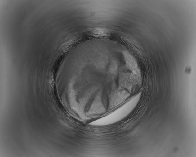 X0000098210320200805151259